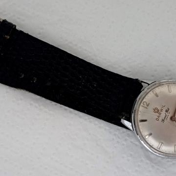 Darwil Lord 71, navijač 17J