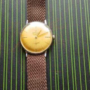 Darwil muski sat navijač