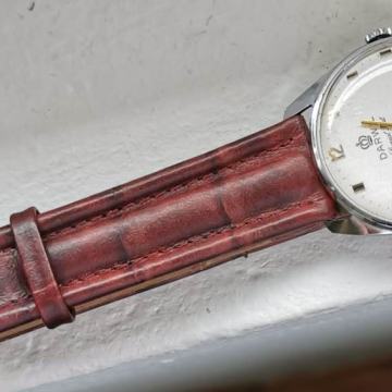 Darwil navijač, Lord 71