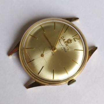 DARWIL navijač, pozlata