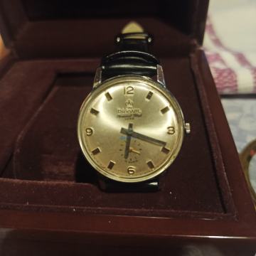 Darwili special flat luxe