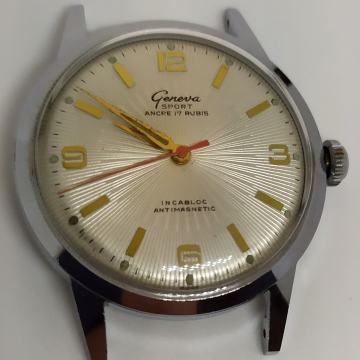 GENEVE Sport, navijač