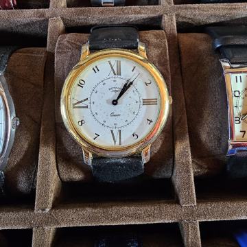 Luksuzan švicarski Rotary muški sat