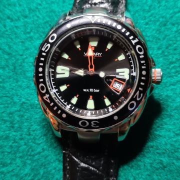 MUŠKI SAT WAGARY BAY CITIZEN