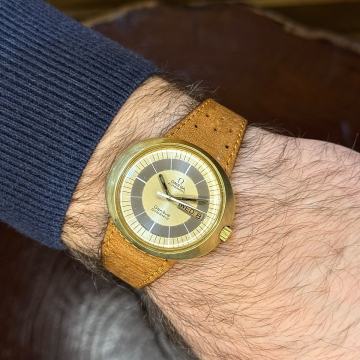 Omega Geneve Dynamic u ovalnom kucistu i s automatskim mehanizmom