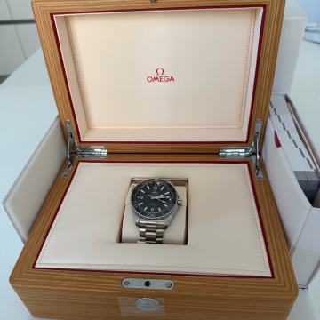 Omega Seamaster professional