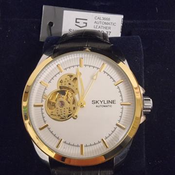 Skyline timepiece automatic