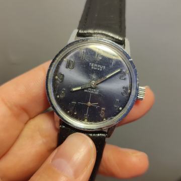 TEMPUS, švicarski navijač