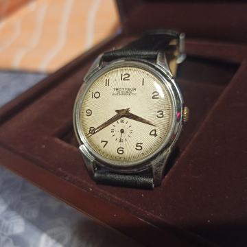 Trotter 15 rubina Vintage navijač