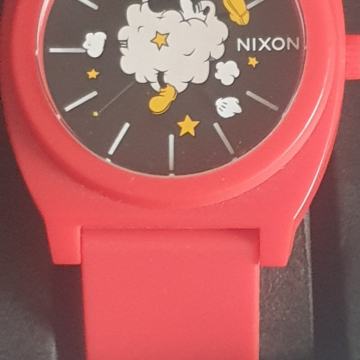 Walt Disney NIXON sat