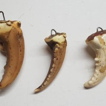 PRIVJESAK, MORSKI RAK, RAKOVA KLIJEŠTA, 4x komada