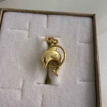 ZLATNI PRIVJESAK DUPIN