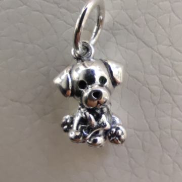 Privjesci za pandorinu narukvicu