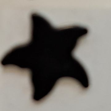 Crna naušnica zvijezda