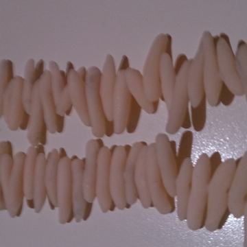 Fimo bijeli koralj, novo