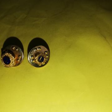 Pozlaćene naušnice Lions kluba