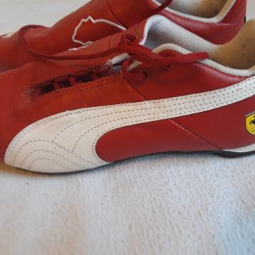 Tenisice (37) ferrari puma