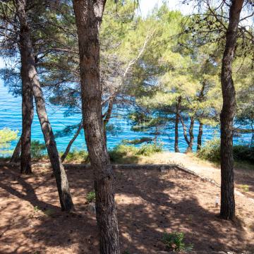 Ekskluzivna lokacija, prvi red do mora, kuća 190 m2 s okućnicom 1253 m