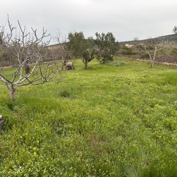 GAĆELEZI, GRAĐEVINSKO ZEMLJIŠTE