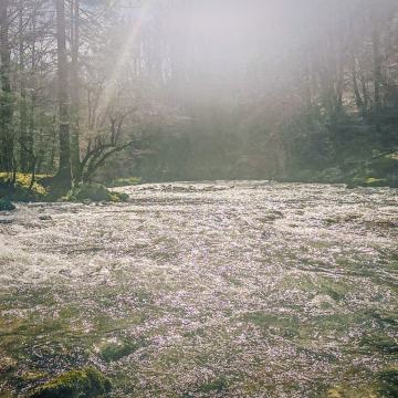 GORSKI KOTAR – Kuća na osami u Nacionalnom parku Risnjak