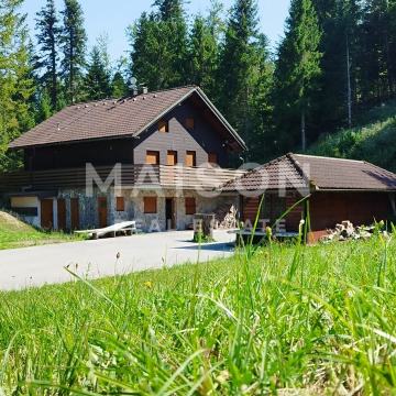 Gorski kotar, samoodrživa brvnara na 20.000 m2 okućnice
