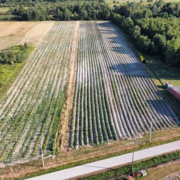 Građevinsko i poljoprivredno zemljište, Križ (Razljev), 21.942 m2