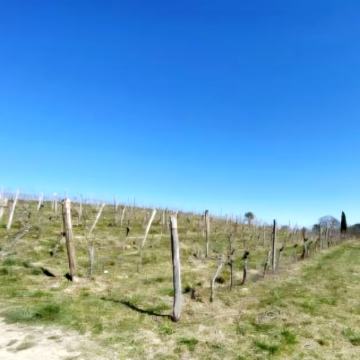 Građevinsko zemljište, Brkač, 1450 m2