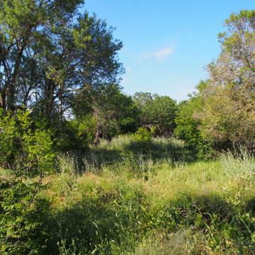 HITNO - HITNO - SNIŽENA CIJENA - 1023 m2 -75.000 €