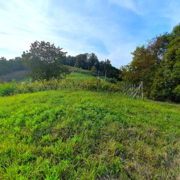 Građevinsko zemlj.,Kupljenovo, MERENJE, 4200 m2
