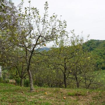 Građevinsko zemljište, Molvice, 981 m2 SA OTVORENIM POGLEDOM 35000EUR!