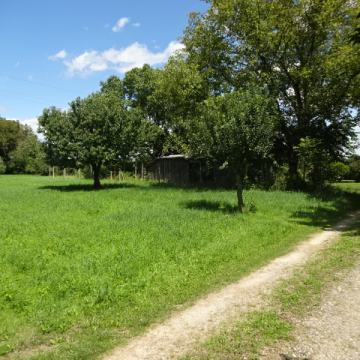 GRAĐEVINSKO ZEMLJIŠTE U NEDELIŠĆU-Z17