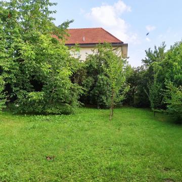 NOVAKI SV. NEDELJA građevinsko zemljište 487m²