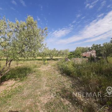 PRILIKA – Građevinsko Zemljište Novigrad – Pridraga 2500 m2