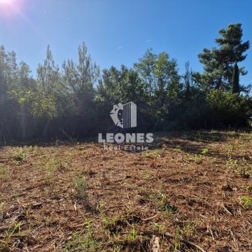 Građevinsko zemljište - okolica Umaga