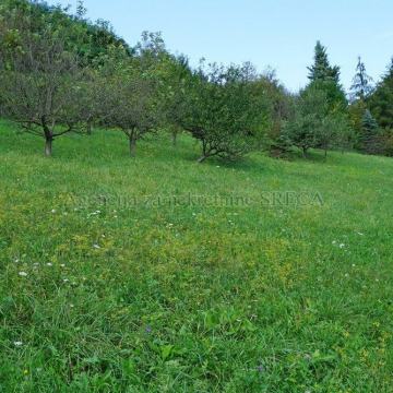 Građevinsko zemljište, Pojatno, 2364 m2, SA PREDIVNIM POGLEDOM!