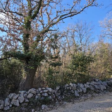 Građevinsko zemljište, Risika, 539 m2, 1 km od mora i uvale Sv. Marek