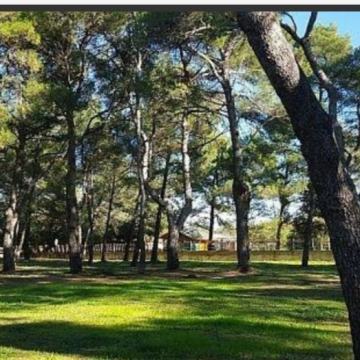 ROVINJ, GRAĐ. ZEMLJ. 12058 m2, 180€/m2 !!!