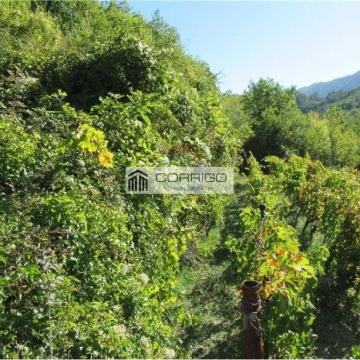 Građevinsko zemljište Svinišće, Omiš 432m2