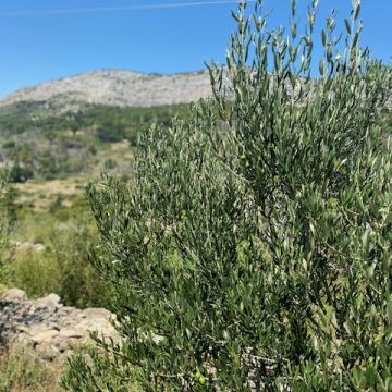 Građevinsko zemljište, Tugare, 837 m2