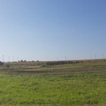 Građevinsko zemljište, Varaždin, 2980 m2