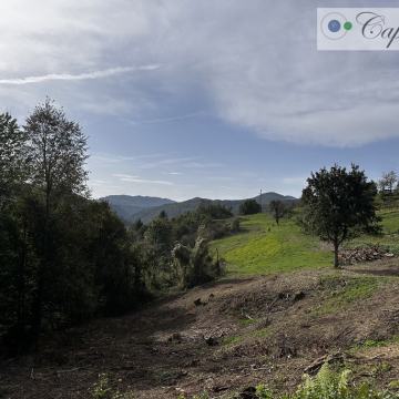 Građevinsko i poljoprivredvno zemljište, Samobor, Vrhovčak, 33.704 m2