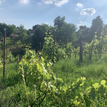 Građevinsko zemljište, Zagreb (Bijenik), 823 m2