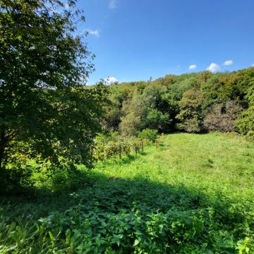 Građevinsko zemljište, Zagreb (Granešina), 1547 m2 Orahovečki brijeg