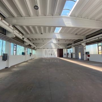 Hale sa uredima i parkingom u Kukuljanovu 785 m2