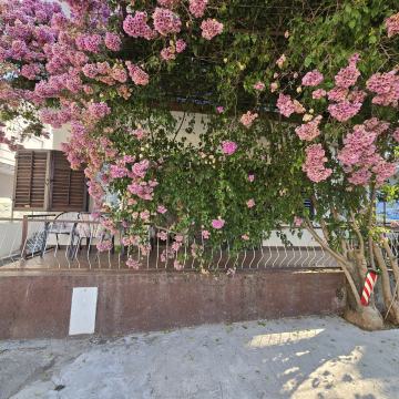 INVESTICIJSKA PRILIKA –
Kuća (162 m²) sa 3 apartmana u Zaostrogu!