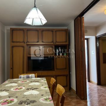 Istra Buzet okolica kamena kuća sa okućnicom!