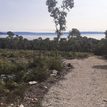 Akcija!!!  ISTRA, KAVRAN, više zemljišta u Kavranskoj šumi po cca 350m