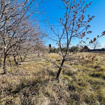 Istra - Građevinsko zemljište, your Mediterranean escape!