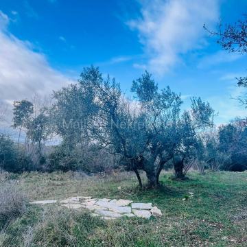 ISTRA - Peruški, blizu mora, maslinik, kamena kucica