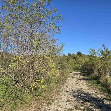 Istra,  veliko zemljište  12 000 m2 uz Autocestu kod Kanfanara